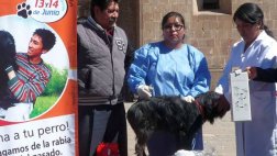 Puno: más de 220 mil perros serán vacunados contra la rabia