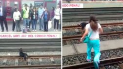 Metro: mujer que salvó a perro fue irresponsable según vocero