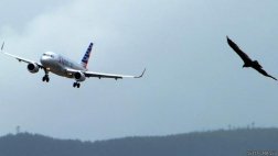 El material que permite que los aviones se reparen solos