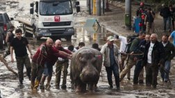 Georgia: Inundación causa la fuga de fieras y deja 12 muertos