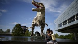 Los humanos podrían perecer como los dinosaurios