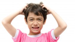 Pican los piojos: consejos para acabar con estos huéspedes