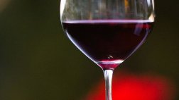 Una ceremonia para elegir el mejor vino del Nuevo Mundo