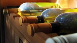 Amantes del vino: un evento que no se pueden perder