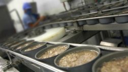Ica: fábrica conservera funcionaba sin autorización