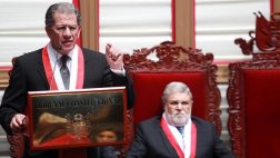 Gratificaciones: “Ley goza de presunción de constitucionalidad”