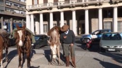 Joven cruza Uruguay a caballo para asistir a su graduación