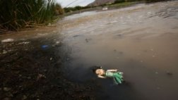 Contaminación del lago Titicaca amenaza especies y agricultura