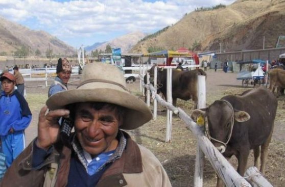 Osiptel fija nuevos cargos a cobrarse en las zonas rurales