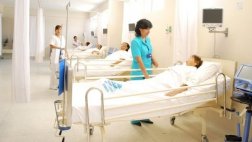 Dengue: más de 26.000 casos fueron reportados en 19 regiones
