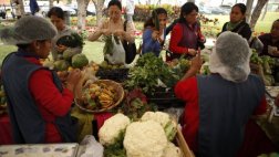 Nueva bioferia Ecovida desembarca el sábado en el Callao