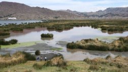 Lago Titicaca: preparan plan de recuperación ambiental