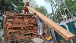 A fin de mes se aprobaría reglamento de ley forestal y de fauna