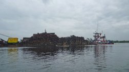 Iquitos: incautan madera valorizada en más de S/. 5 millones
