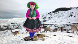 Seis regiones en alerta por bajas temperaturas