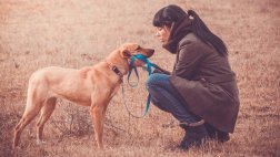Cinco formas en las que una mascota te enseña a ser mejor mamá