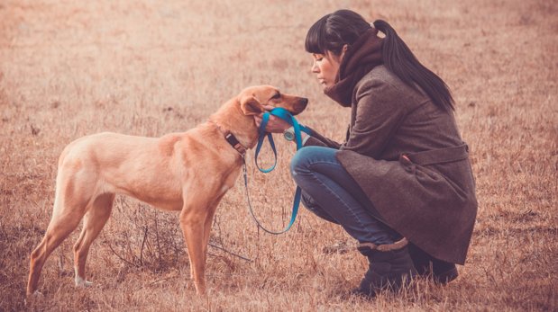 Cinco formas en las que una mascota te enseña a ser mejor mamá