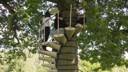 CanopyStair, la escalera que te permitirá subir a los árboles