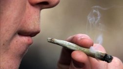 Separan efectos nocivos de capacidad analgésica del cannabis
