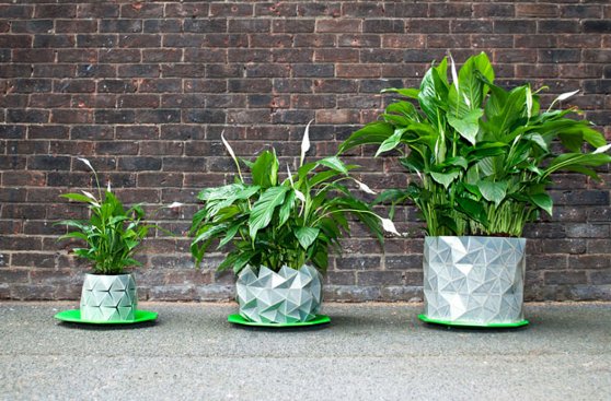 Growth, las únicas macetas que crecen junto con tus plantas