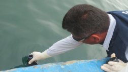 ANA monitorea la calidad del agua de la bahía de Paita