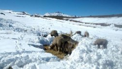 Puno: construirán establecimientos de salud en zonas de heladas