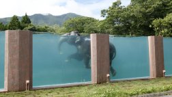 Al agua elefante: construyen piscina transparente en Japón