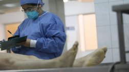 Morgue de Lima: denuncian malas condiciones y falta de material