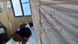 Dengue en Piura: muertes por la enfermedad ya suman 24