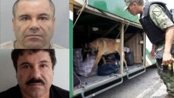 Buscan a 'El Chapo' en hoteles, clínicas y hasta en funerarias