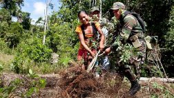 Perú redujo cultivo de hoja de coca por tercer año consecutivo