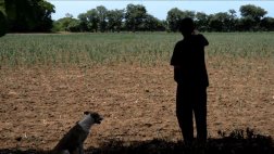Productores afectados por sequía en El Salvador