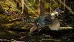 Descubren un nuevo dinosaurio emplumado
