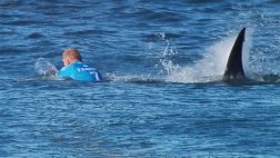 Mick Fanning, el surfista que escapó de un tiburón a patadas
