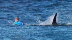 Habla el surfista que se salvó a golpes de un tiburón