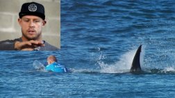 Surfista atacado por tiburón: "Gracias por no comerme"