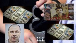 ¿Qué cambió en el negocio del narcotráfico con El Chapo preso?