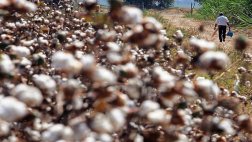 Productos bandera: cómo les ha ido en la última decada