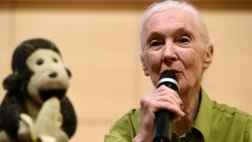 Jane Goodall confía en los jóvenes para un cambio global