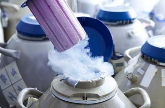 Los pasos gigantes que ha dado la fertilización in vitro