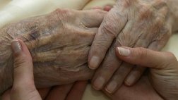 La inhibición de una proteína favorece el rejuvenecimiento