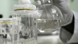 Estudio clínico confirma eficacia de vacuna contra el dengue