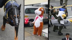 Gran Parada Militar y los sucesos más curiosos del desfile