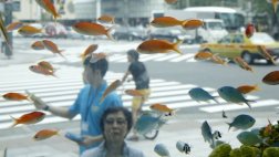 Los acuarios mejoran el bienestar físico de quien los observa