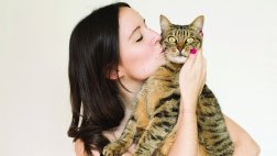 La indiferencia gatuna: ¿Me quiere o no me quiere?
