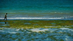 Emisiones de CO2 afectarían a los océanos durante siglos