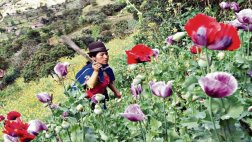Narcos trasladan droga de Piura hacia Ecuador por nuevas rutas
