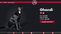 Fiat Argentina y su original celebración por el Día del Amigo