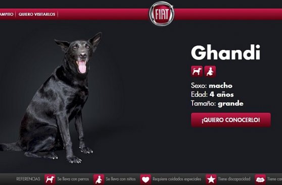 Fiat Argentina y su original celebración por el Día del Amigo