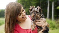 Por qué no debemos cargar a nuestros perros